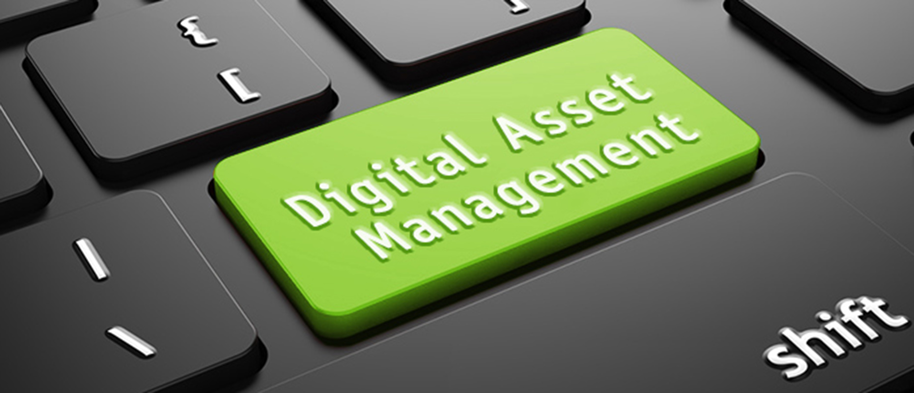 digital asset management taste