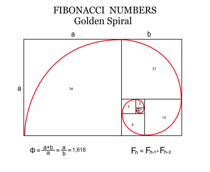 Die Fibonacci-Folge