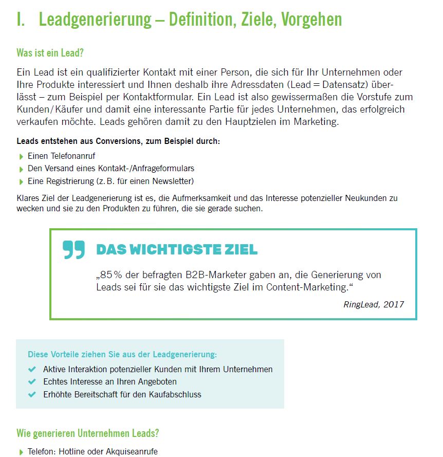 Studio1 ® Whitepaper Lead-Generierung Leseprobe