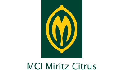 MCI Miritz Logo